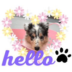 [LINEスタンプ] MyLovelyDog日常に使えるスタンプ♡
