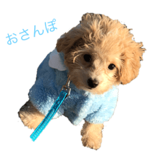 [LINEスタンプ] ラウレアちゃん