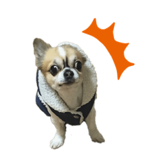 [LINEスタンプ] おむまるちゃん