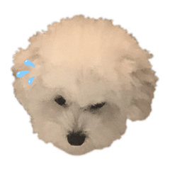 [LINEスタンプ] ダサすぎスタンプ