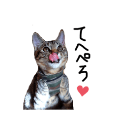 [LINEスタンプ] 犬達猫達3