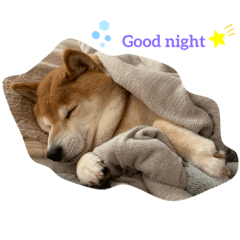 [LINEスタンプ] ひめちゃんスタンプシリーズ1
