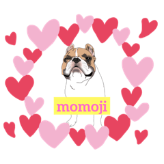 [LINEスタンプ] フォンパイのmomojiくん
