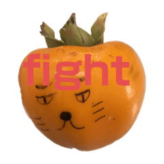 [LINEスタンプ] kaki Shira2