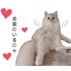 [LINEスタンプ] ティちゃんスタンプ