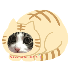 [LINEスタンプ] ココ助さん