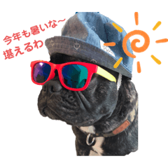[LINEスタンプ] フレンチブルドッグ 関西弁のクルト