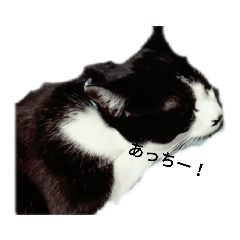 [LINEスタンプ] 我が家のごまち④