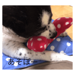 [LINEスタンプ] 我が家のツンデレ姫