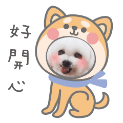 [LINEスタンプ] ハマイ二人形