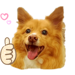 [LINEスタンプ] ふくRingoポール