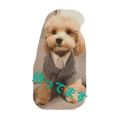 [LINEスタンプ] ぷぅちゃん1