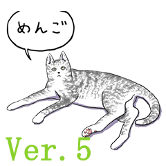 いいネコキャット5（日本語版）