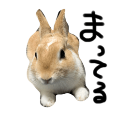 [LINEスタンプ] 殿下さん