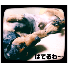 [LINEスタンプ] ゆずきち レアな はなぺい スタンプ☆