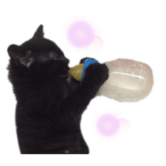[LINEスタンプ] 黒猫のもふ