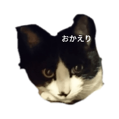 [LINEスタンプ] 我が家のごまち⑤