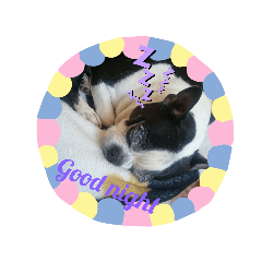 [LINEスタンプ] 弁慶♡