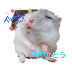 [LINEスタンプ] サンタみるく