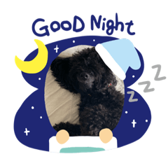 [LINEスタンプ] Chiroru.01