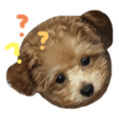 [LINEスタンプ] ViViちゃんのすたんぷ