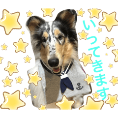 [LINEスタンプ] ラフコリーセリーヌ♡
