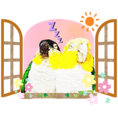 [LINEスタンプ] ニョオウインコとシロハラインコ4