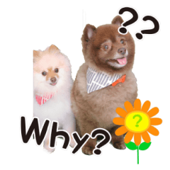 [LINEスタンプ] さくら＆ひまわり