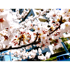 [LINEスタンプ] 景色写真スタンプ