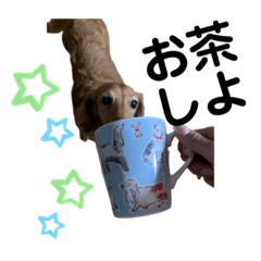 [LINEスタンプ] Melmo n’ Alice :-)
