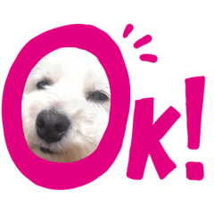 [LINEスタンプ] ウェスティのアンちゃん