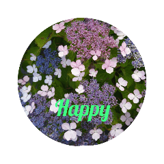 [LINEスタンプ] 自然に教わる