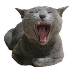 [LINEスタンプ] ジョー君スタンプ no.1