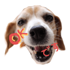 [LINEスタンプ] はなちゃん8787