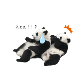 [LINEスタンプ] 可愛い動物たち！！ゆるんとスタンプ