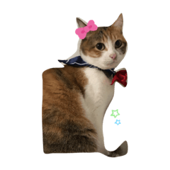 [LINEスタンプ] みーとあずき