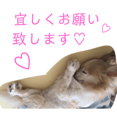[LINEスタンプ] レン君のご挨拶