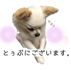 [LINEスタンプ] とぅぶちゃんスタンプ2！