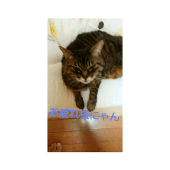 [LINEスタンプ] 動物可愛い