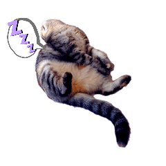 [LINEスタンプ] 猫のまちこスタンプ