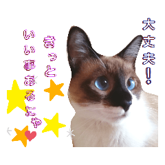 [LINEスタンプ] ダイアナスタイル.1