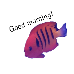 [LINEスタンプ] 海水魚～海の仲間たち～
