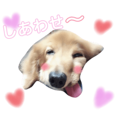 [LINEスタンプ] 清水家のポテトくん②