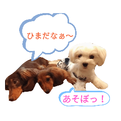 [LINEスタンプ] いやされスタンプ