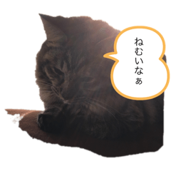 [LINEスタンプ] みかんの日常生活
