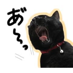 [LINEスタンプ] 黒猫のもふ ②