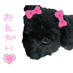 [LINEスタンプ] ぷっしゃん No.2