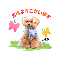 [LINEスタンプ] マリンちゃん第1弾