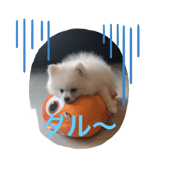 [LINEスタンプ] かわいいY