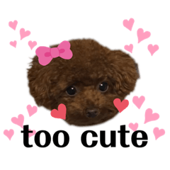 [LINEスタンプ] ちびちびクロムの日常会話